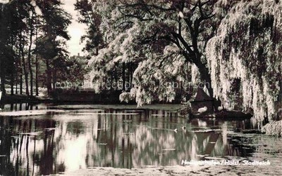 Heiligenhafen Baltic Sea resort Schleswig-Holstein city pond pond weeping willow Spiegelu