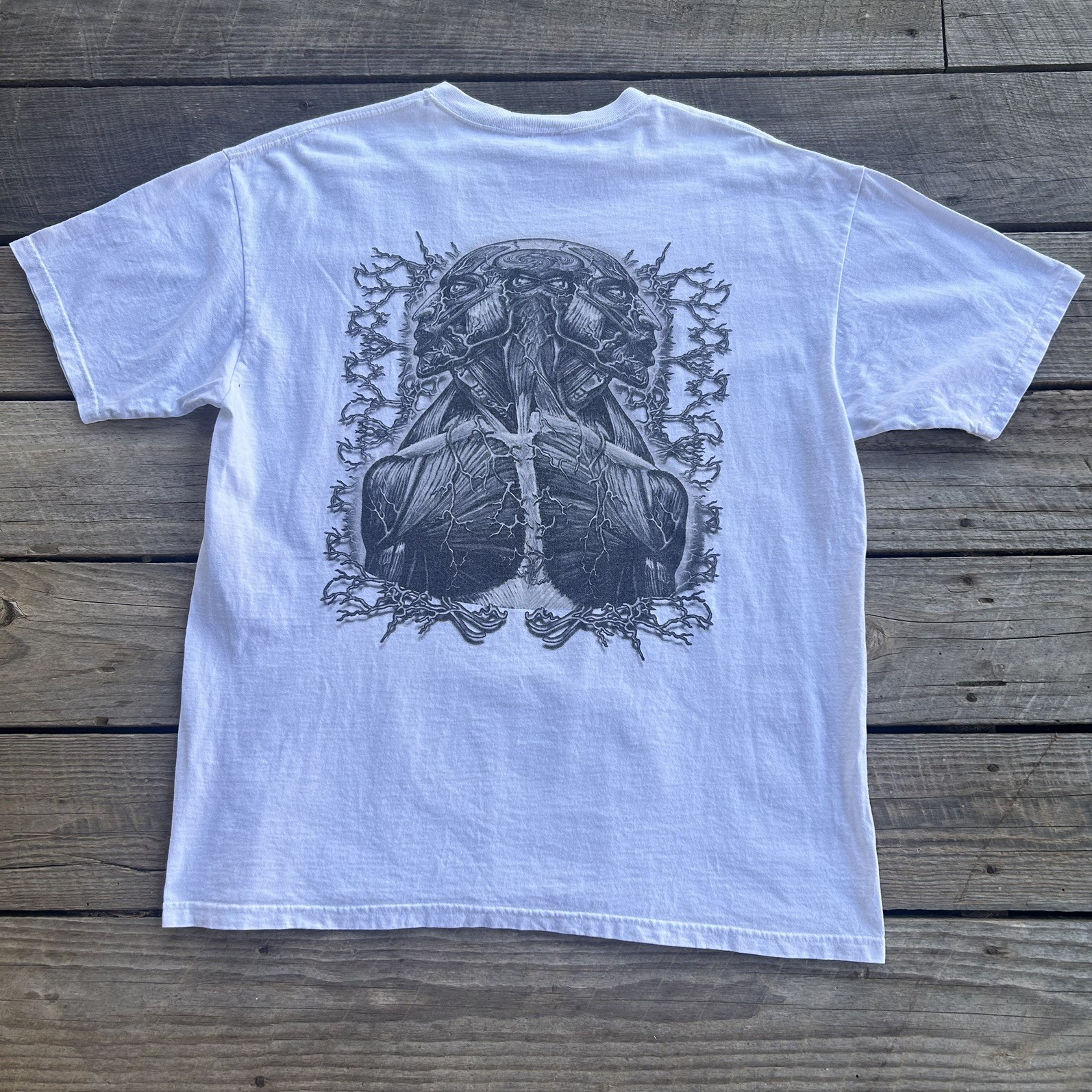 2000s Tool — Lateralus (Anvil) vintage concert t-shirt