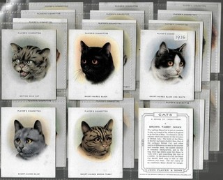 Tobacco Card Set John Player CATS Cat Breeds 1936 Manx Tabby Siamese etc
