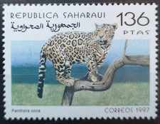 Saharaui 1997 6v''*set nur 1v Jaguar im Angebot (103)