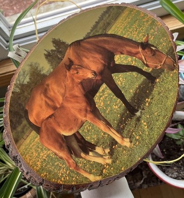Wood Slice Bark Horse Mare Colt Grazing Decoupaged Wall Plaque Decor WI Dells
