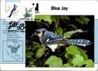 Dr Jim Stamps Maximum Card Blue Jay Juniper Berry Forever Combo Fdc