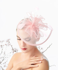 Pink Feather Mesh Wedding Fascinator Headband Woman Headpiece Cocktail Tea Party