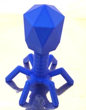 Virus Model Bacteriophage Phage Microbiology Science Education 8.5" Height Gift
