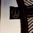 Foto 7 di 7