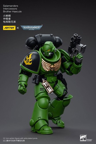 JOYTOY JT5222 1:18 Warhammer 40K Salamanders Intercessors Brother Haecule Model - Picture 10 of 12