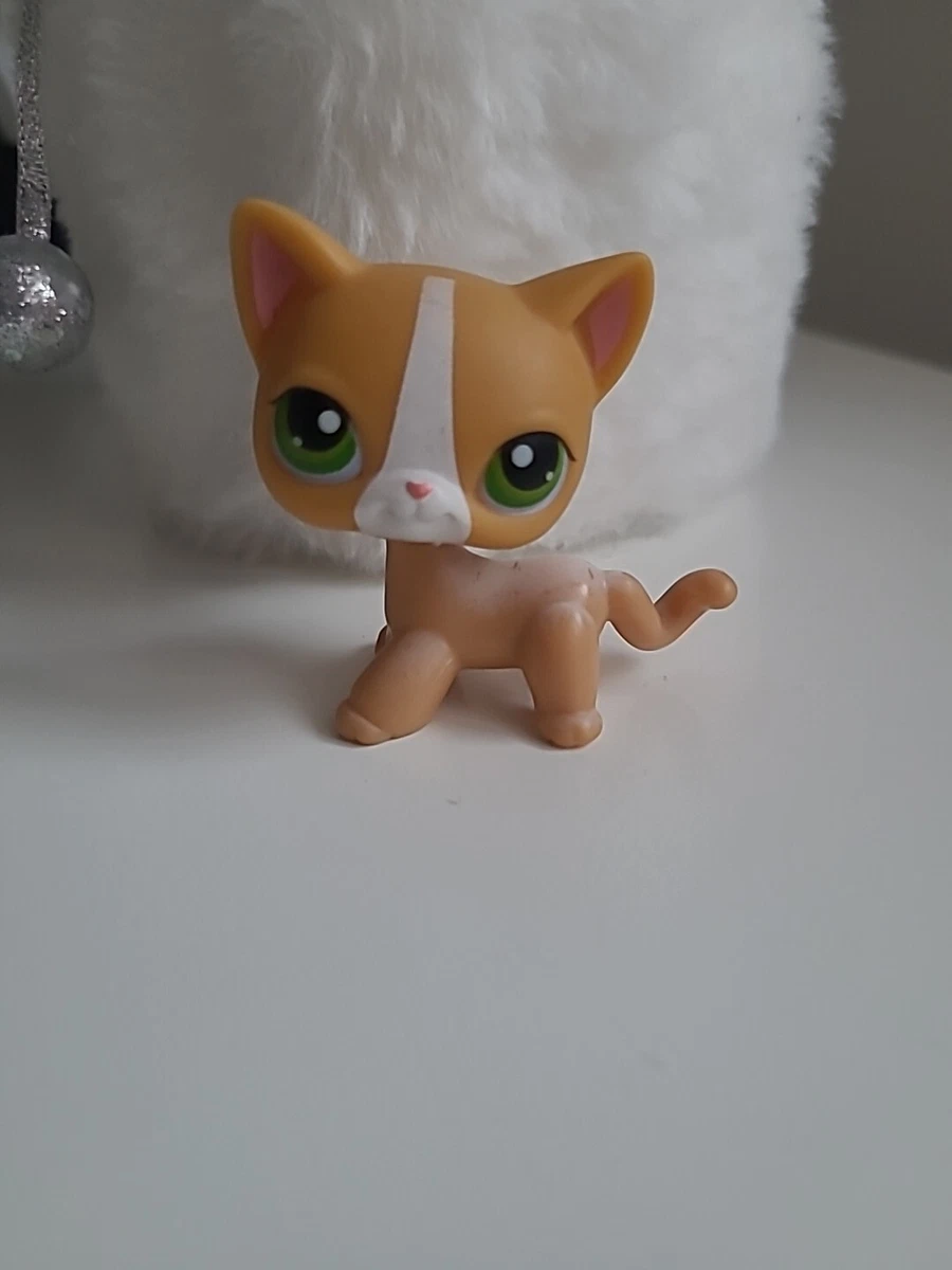 Littlest pet shop Shorthair Cat Authentic