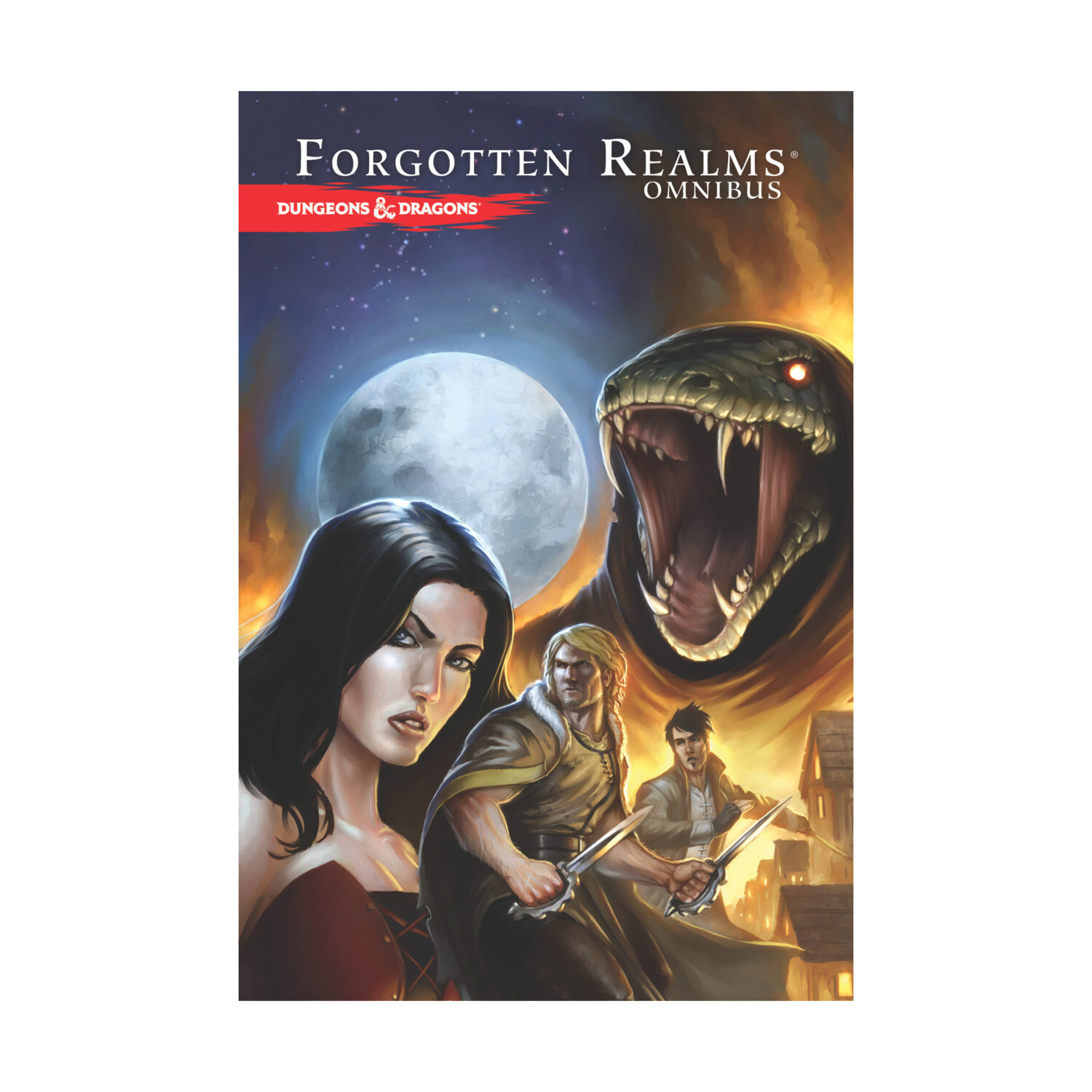 IDW Publishing D&D Graphic Novels Realms Omnibus VG+ eBay