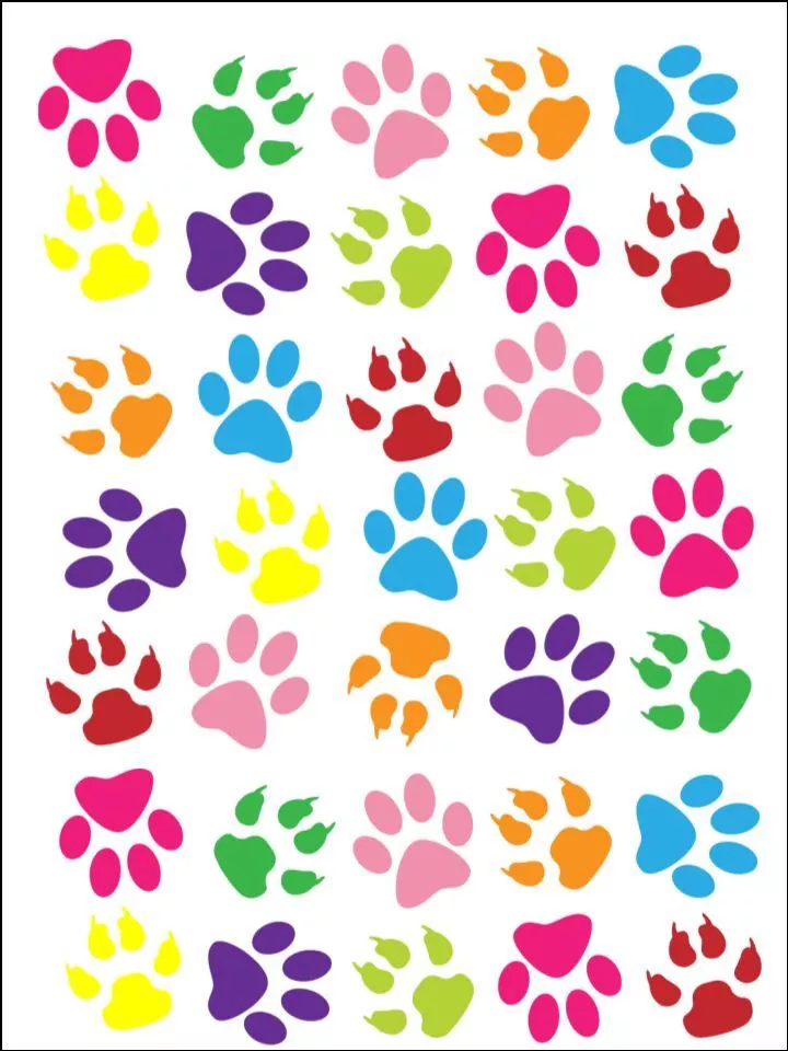 Edible paw prints cheap