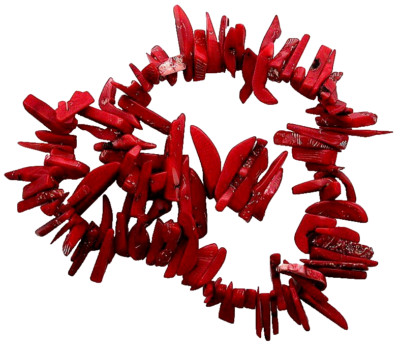 Natural Red Coral Stick Tooth Bead Dyed Gemstone 16 Inch Strand CB9/11923