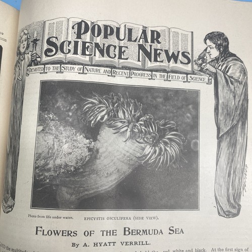 Antique Popular Science Magazine Collection 1901 Jan to 1902 Oct Monthly Binder - Picture 8 of 24