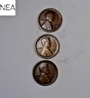 1913-S+1916-S+1921-S Lincoln Wheat Penny Cent Set/Lot ~ Fine/VF ~ ZWL44