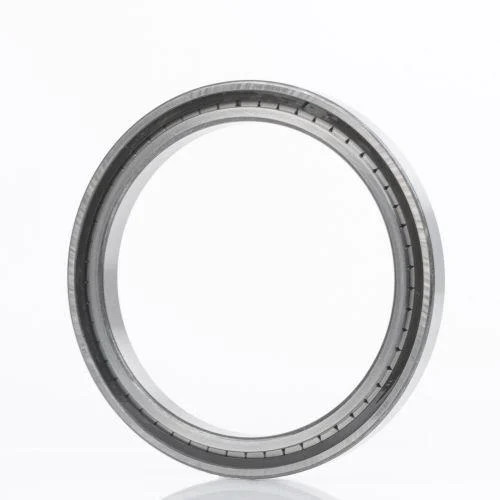 Zylinderrollenlager SL192311 ID 55Mm AD 120Mm Breite43Mm INA-image