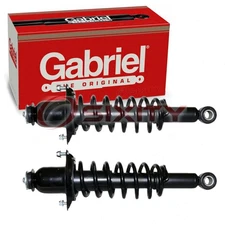 2 pc Gabriel G57068 Strut & Coil Springs for 9213-0065 181373R 171373R we