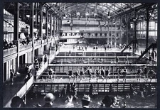 1890s SAN FRANCISCO SUTRO BATHS SPECTATORS VIEW SWIMMING POOLS~NEW 1980 POSTCARD