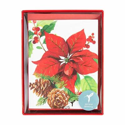 Papyrus Bold Poinsettia Holiday Note Cards (Set of 20)