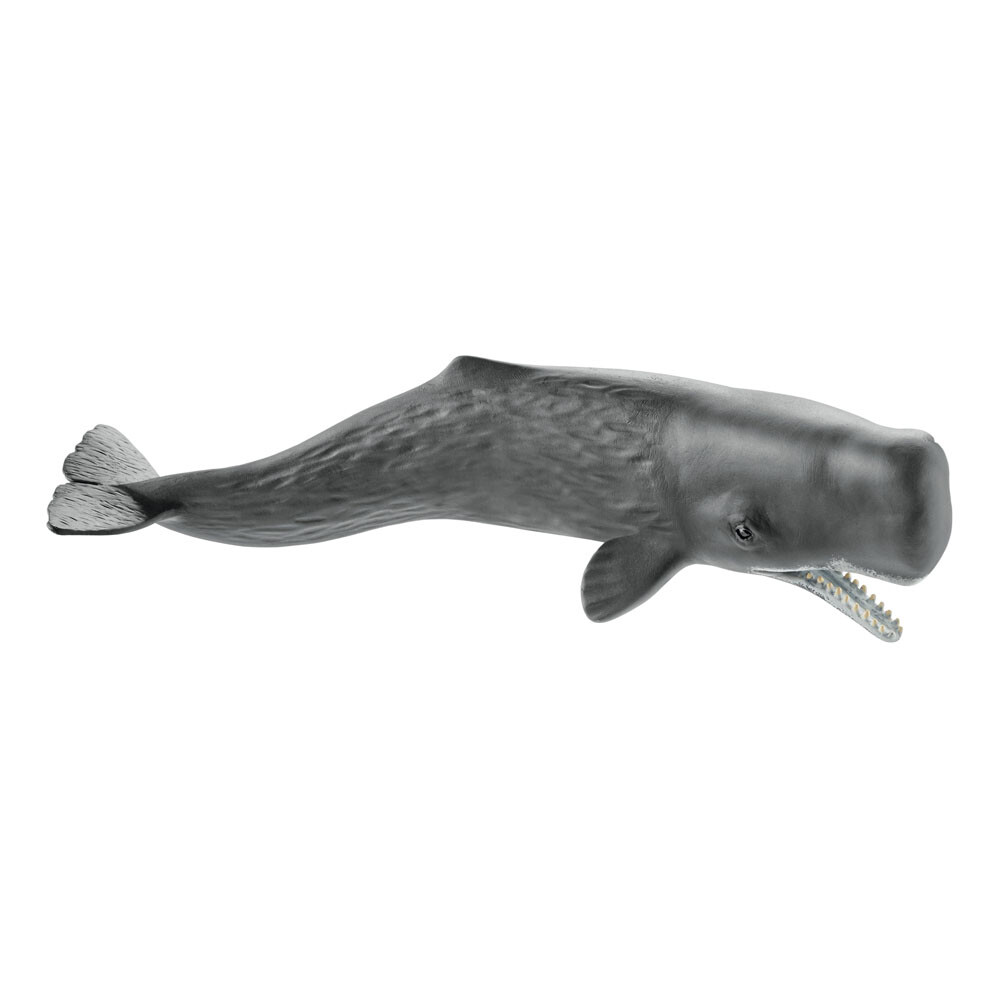 シュライヒ Schleich ザトウクジラ Humpback Whale シュライヒ Schleich ザトウクジラ Humpback Whale Amazon.co.jp