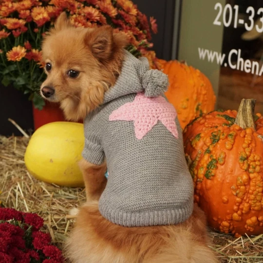 Knitted Dog Sweater with Star / Small Dog Sweater /Grey Dog Sweater / Dog Hoodie - Image 3 of 4