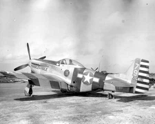 North American P-51 Mustang World War II WWII WW2 8x10 Photo 399c