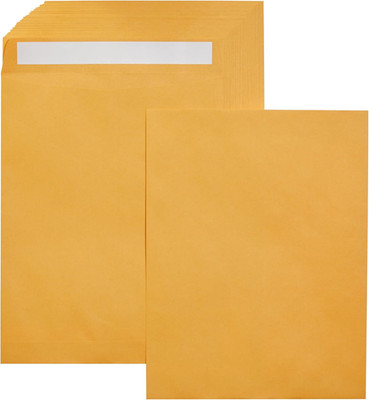 Catalog Shipping Envelopes, Peel and Seal, 10'' X 13'', Brown Kraft, 100-Pack