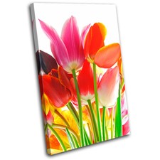 Tulips Flowers Floral SINGLE CANVAS WALL ART Picture Print VA