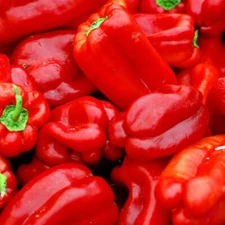 Big Red Sweet Pepper Seeds 25+ Capsicum Anuum Vegetable HEIRLOOM USA FREE S&H