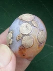 34mm Natural agate eye agate ZhanGuoHong agate collection