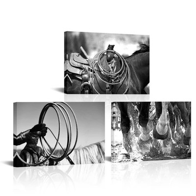 3 Pieces Black and White Cowboy Canvas Prints Rodeo Wall Art Painting Rope Ho...