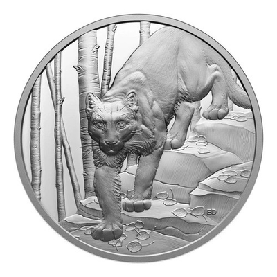 #ad 2024 Canada 1 oz Silver Proof Coin Great Hunters Cougar Ultra High Relief $129.00