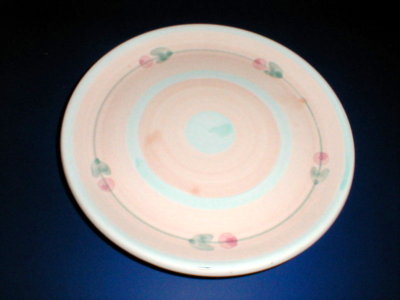 Carstens Pottery Argentina Brushworks Salad Plate