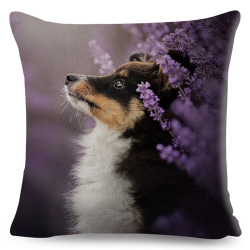 Shetland Sheepdog Cute Pet Animal Dog Printed Pillowcase Decor Cushion Cover - Picture 12 of 42