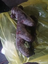 0riginal R1031422002 Abgaskrümmer Mercedes Benz W124 W201 M103 E2,6 E3,0 