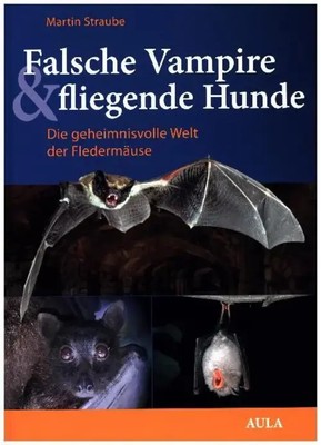 Falsche Vampire, fliegende Hunde | Die geheimnisvolle Welt der Fledermäuse