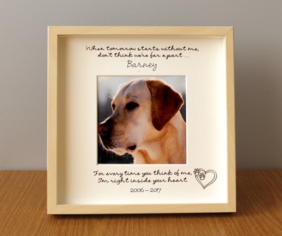 dog frames remembrance