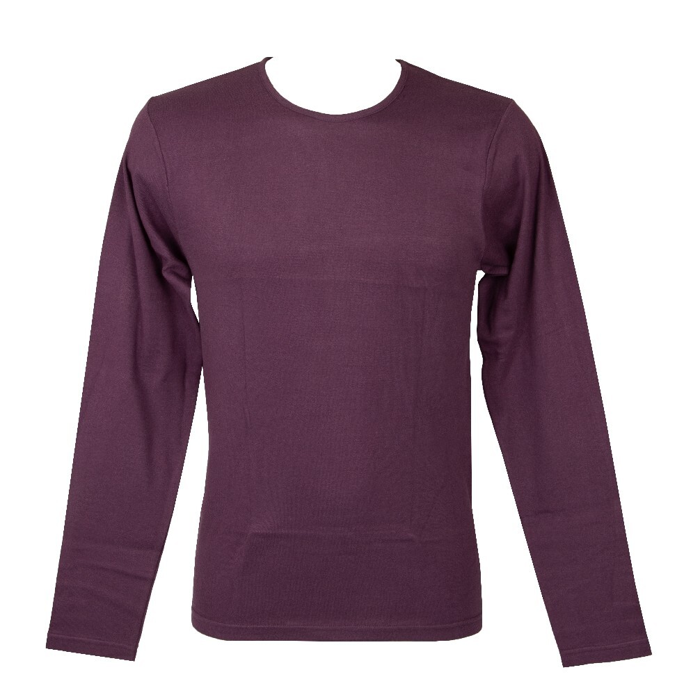 Футболка CAGI Easycolor Herren langrmelig Rundhalsausschnitt reine Baumwolle 5690₽