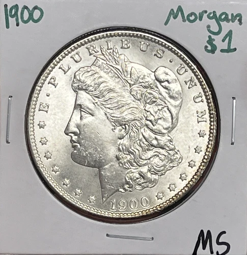 1900 P Morgan Silver Dollar MS ( RAW2064 )