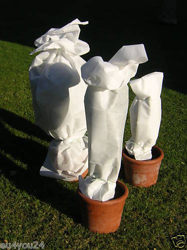 WINTERVLIES 80g/m² 3,2m x 20m Kälteschutz Frostschutzvlies Pflanzenschutz - Afbeelding 3 van 7
