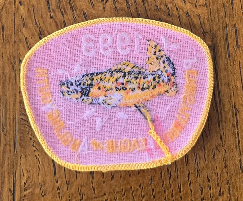 PENNSYLVANIA LEAGUE OF ANGLING YOUTH SER. 1993 4" OVAL BROOK TROUT PATCH - Picture 2 of 2