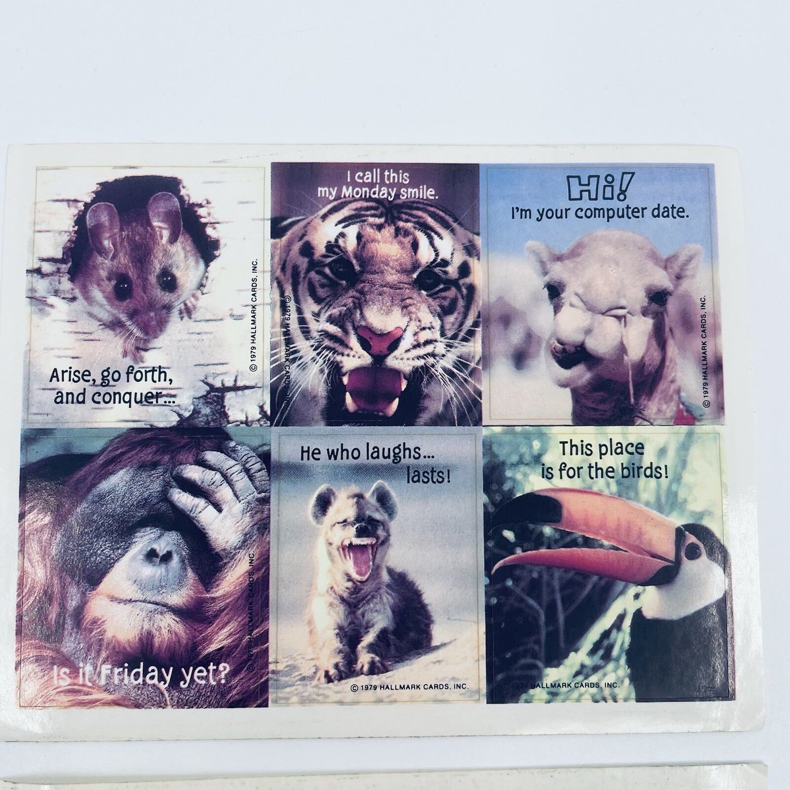 Foto 2 di 8