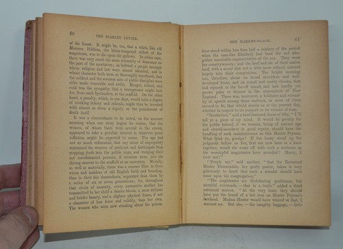 Antique The Scarlet Letter By Nathaniel Hawthorne Salem Edition 1892 - Picture 6 of 6