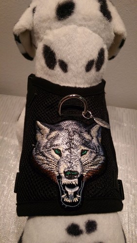 Arnés para perro M, arnés de pecho, arnés blandos, collar, malla negra lobo - Imagen 2 de 5
