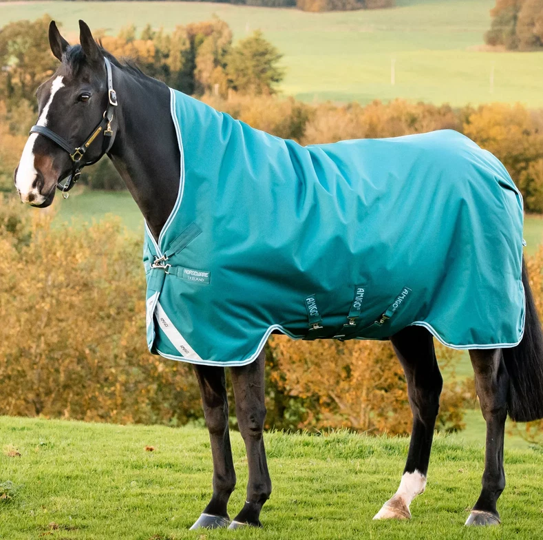"Horseware Amigo Bravo 12 Wug Wahlbeteiligung Teppich hoher Hals mittelgewicht 250g 5'6""-7'3"
