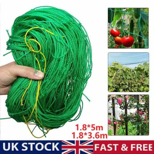 Plant Support Mesh Garden Fruit Net Vegetable Climbing Netting Pea Bean Trellis - Picture 2 of 17