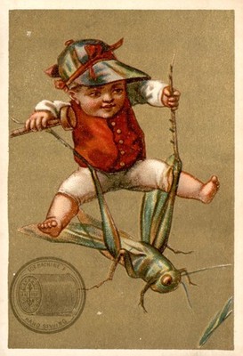Clark & Co Anker Nähen Baumwolle Sammelkarte Postkarte Kind Heuschrecke Paisley