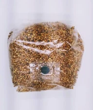 5 bags of 3 lb organic sterilized grain spawn grow bags with injection ports