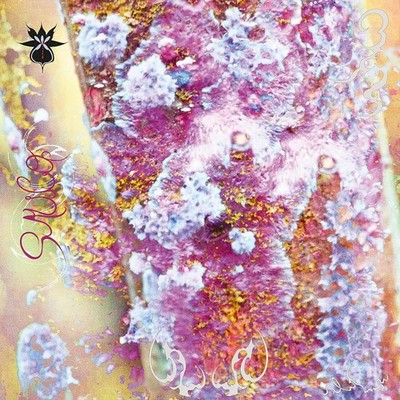 Qoa - Sauco - Vinyl Record