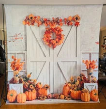 Kate Fall 10x6.5 Backdrop for Thanksgiving, Used Once
