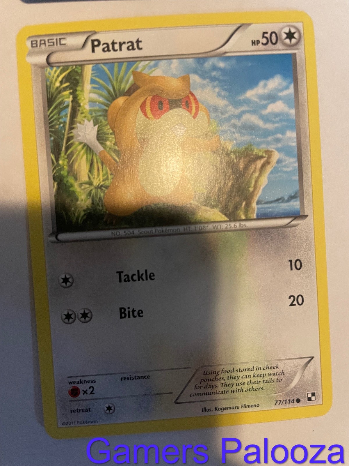 Patrat 77/114 Common Black & White Pokemon Near Mint