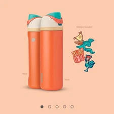 Owala Princess Moana 24oz Stainless Steel FreeSip Water Bottle NEW