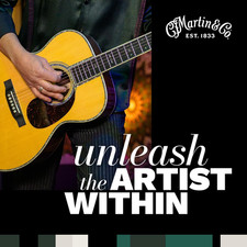 Martin Authentic Acoustic Guitar Strings, Sup...
